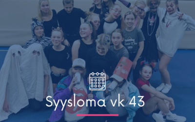 SYYSLOMA VK 43
